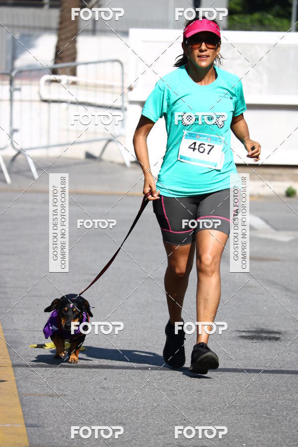 Buy your photos of the event2� Pet Run Shopping Eldorado  on Fotop
