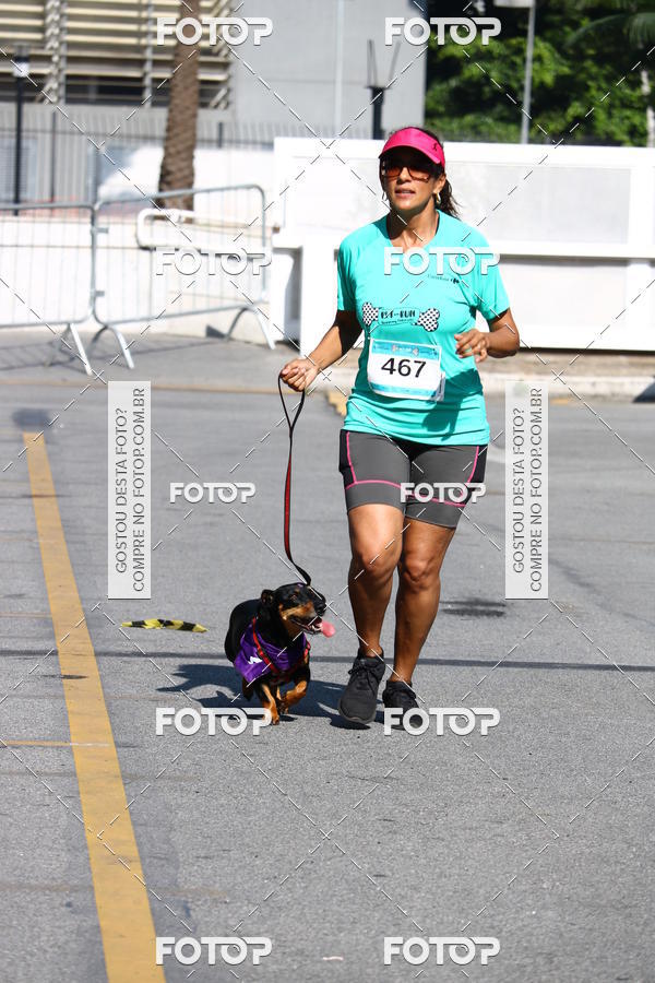 Buy your photos of the event2� Pet Run Shopping Eldorado  on Fotop