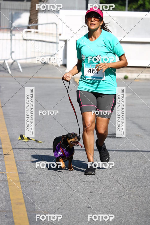 Buy your photos of the event2� Pet Run Shopping Eldorado  on Fotop