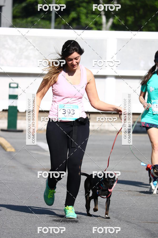 Buy your photos of the event2� Pet Run Shopping Eldorado  on Fotop