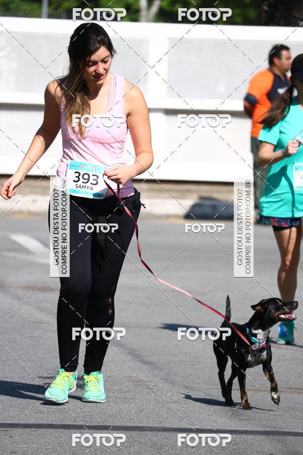 Buy your photos of the event2� Pet Run Shopping Eldorado  on Fotop