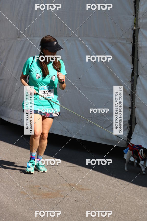 Buy your photos of the event2� Pet Run Shopping Eldorado  on Fotop