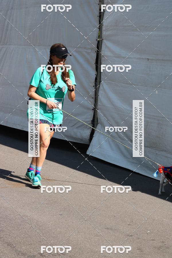 Buy your photos of the event2� Pet Run Shopping Eldorado  on Fotop