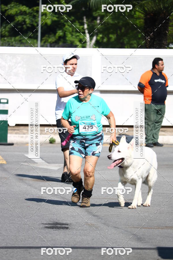 Buy your photos of the event2� Pet Run Shopping Eldorado  on Fotop