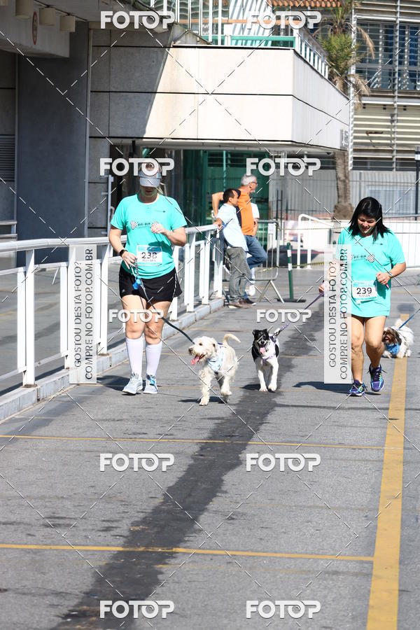 Buy your photos of the event2� Pet Run Shopping Eldorado  on Fotop