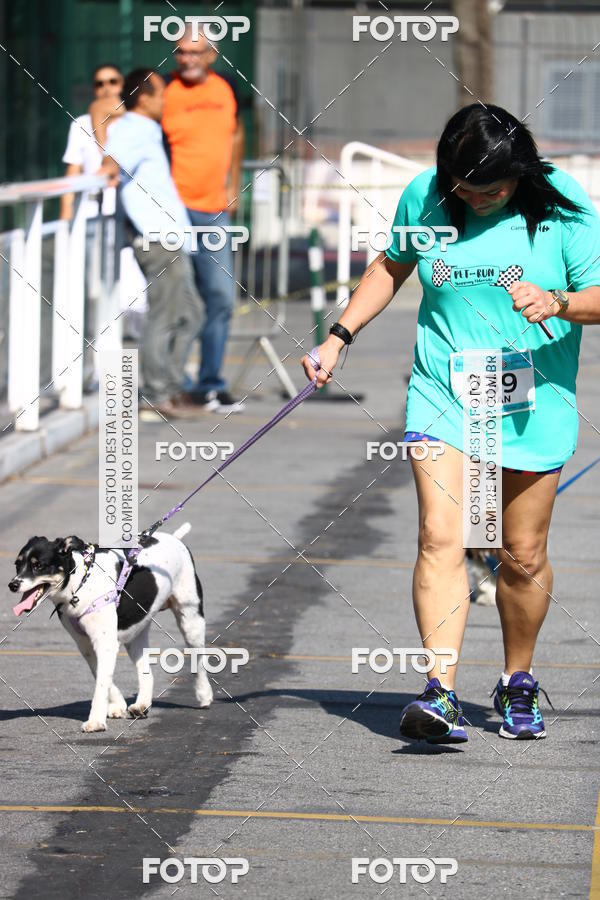 Buy your photos of the event2 Pet Run Shopping Eldorado  on Fotop