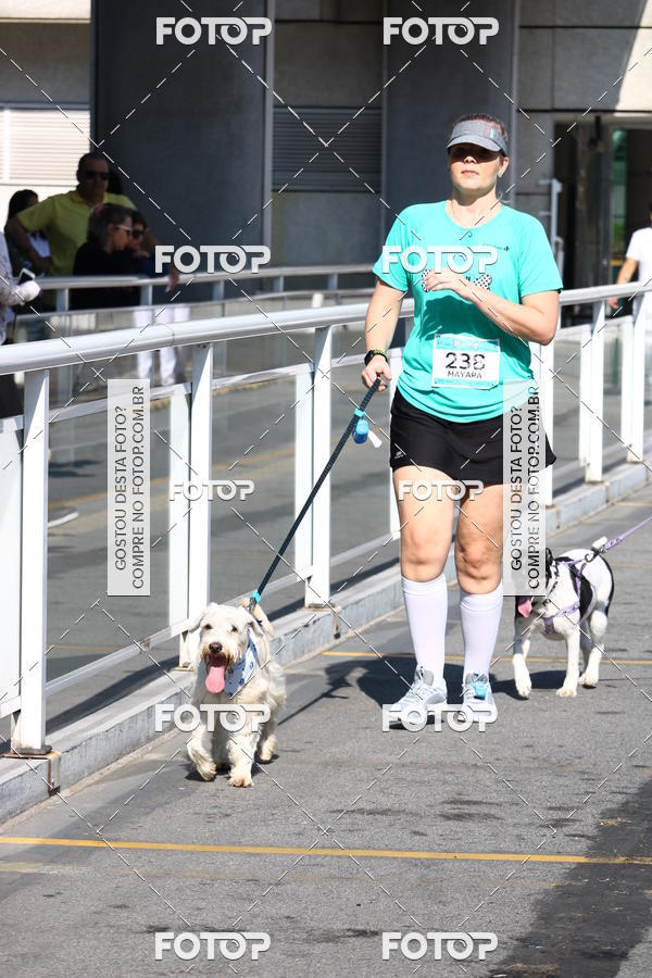 Buy your photos of the event2 Pet Run Shopping Eldorado  on Fotop