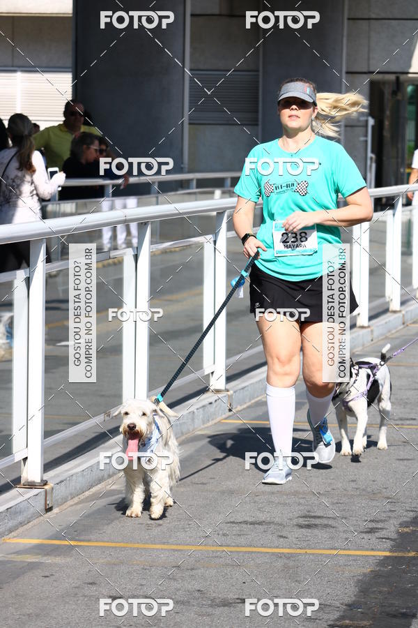 Buy your photos of the event2 Pet Run Shopping Eldorado  on Fotop