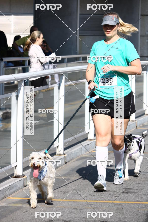 Buy your photos of the event2 Pet Run Shopping Eldorado  on Fotop