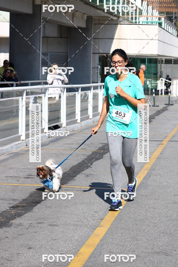 Buy your photos of the event2 Pet Run Shopping Eldorado  on Fotop