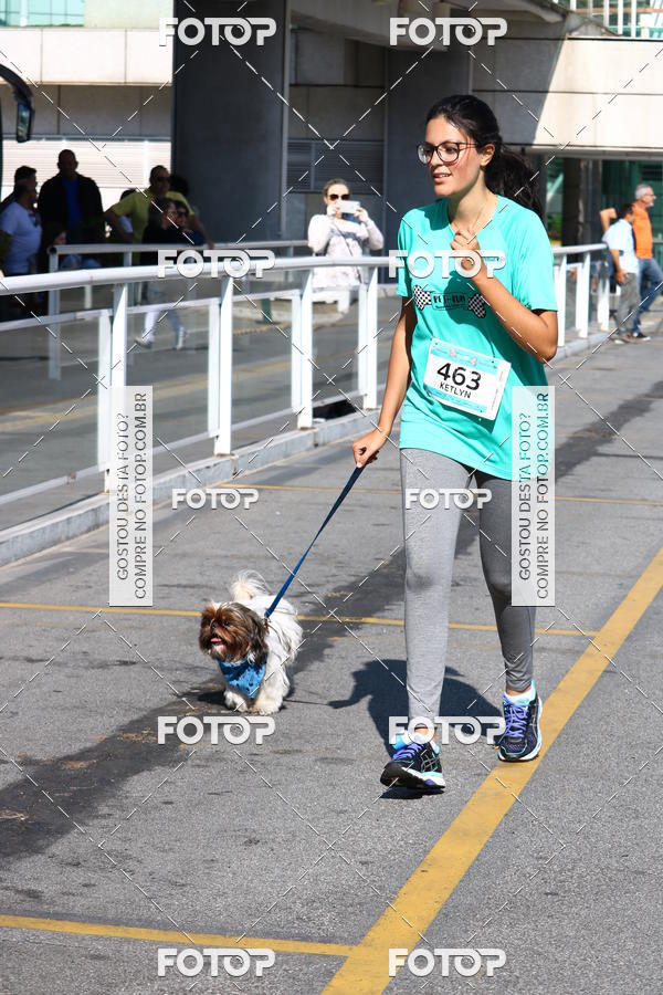 Buy your photos of the event2� Pet Run Shopping Eldorado  on Fotop