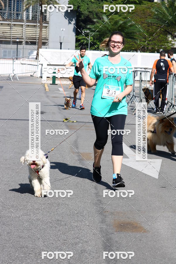Buy your photos of the event2� Pet Run Shopping Eldorado  on Fotop