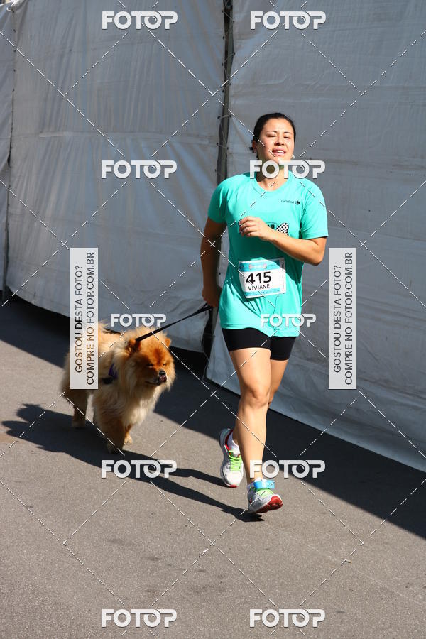 Buy your photos of the event2� Pet Run Shopping Eldorado  on Fotop