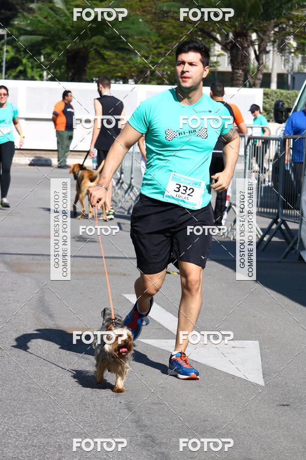 Buy your photos of the event2� Pet Run Shopping Eldorado  on Fotop