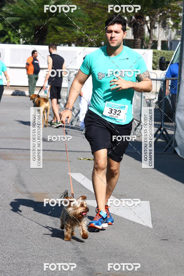 Buy your photos of the event2� Pet Run Shopping Eldorado  on Fotop