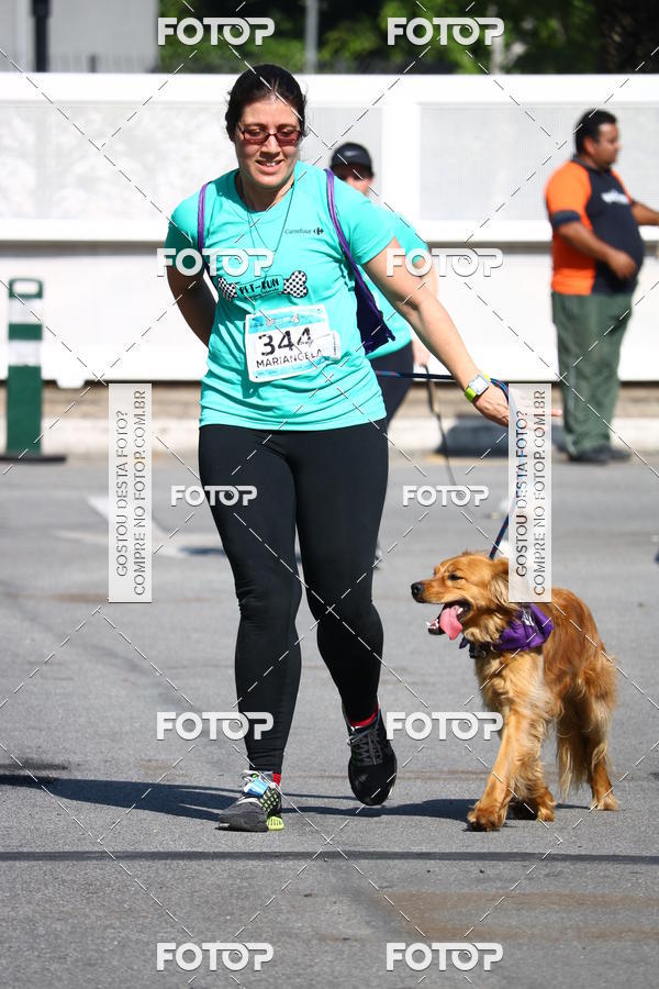 Buy your photos of the event2� Pet Run Shopping Eldorado  on Fotop