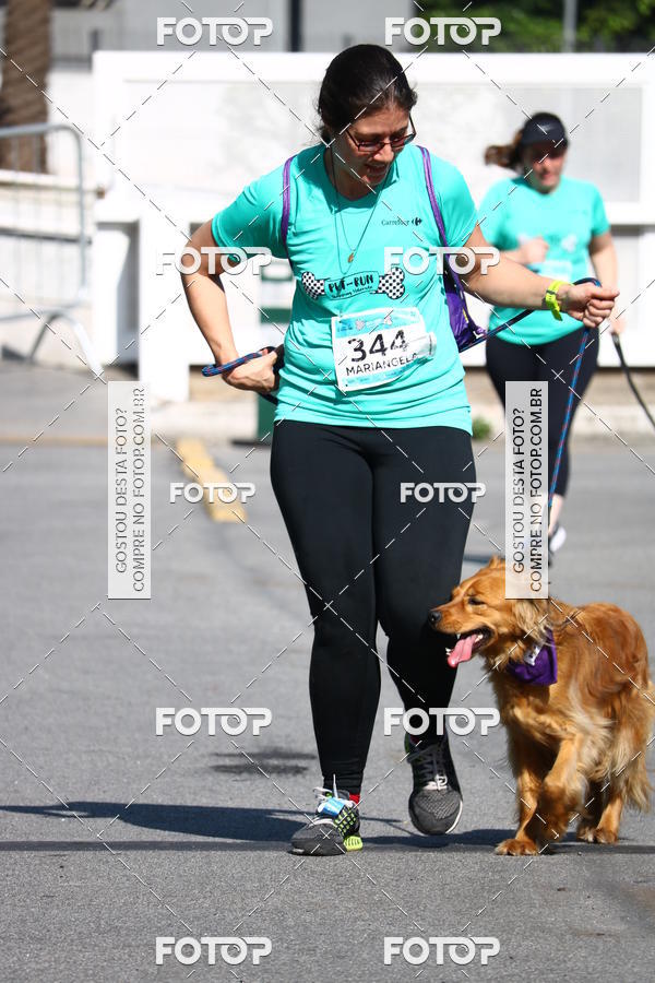 Buy your photos of the event2� Pet Run Shopping Eldorado  on Fotop