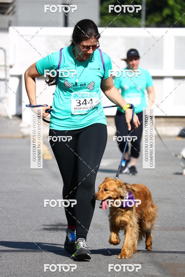 Buy your photos of the event2� Pet Run Shopping Eldorado  on Fotop