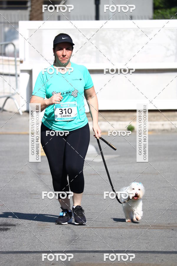 Buy your photos of the event2� Pet Run Shopping Eldorado  on Fotop