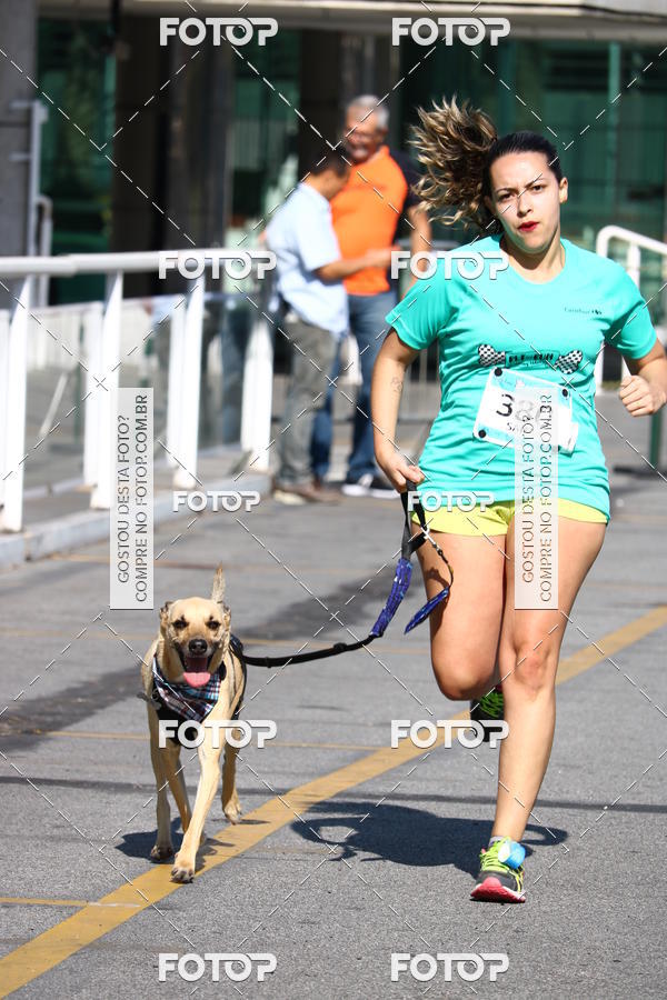 Buy your photos of the event2� Pet Run Shopping Eldorado  on Fotop