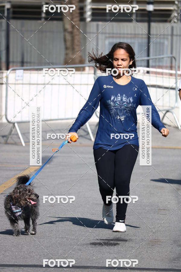 Buy your photos of the event2� Pet Run Shopping Eldorado  on Fotop
