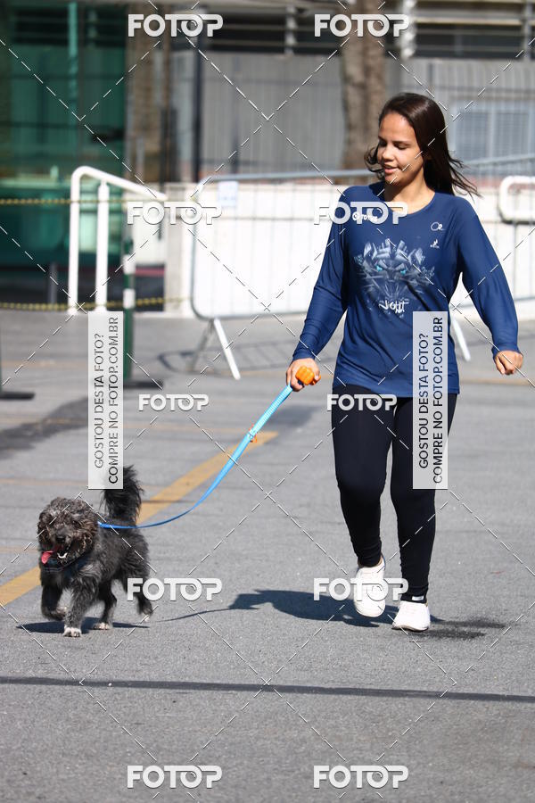 Buy your photos of the event2� Pet Run Shopping Eldorado  on Fotop