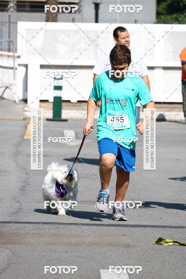 Buy your photos of the event2� Pet Run Shopping Eldorado  on Fotop