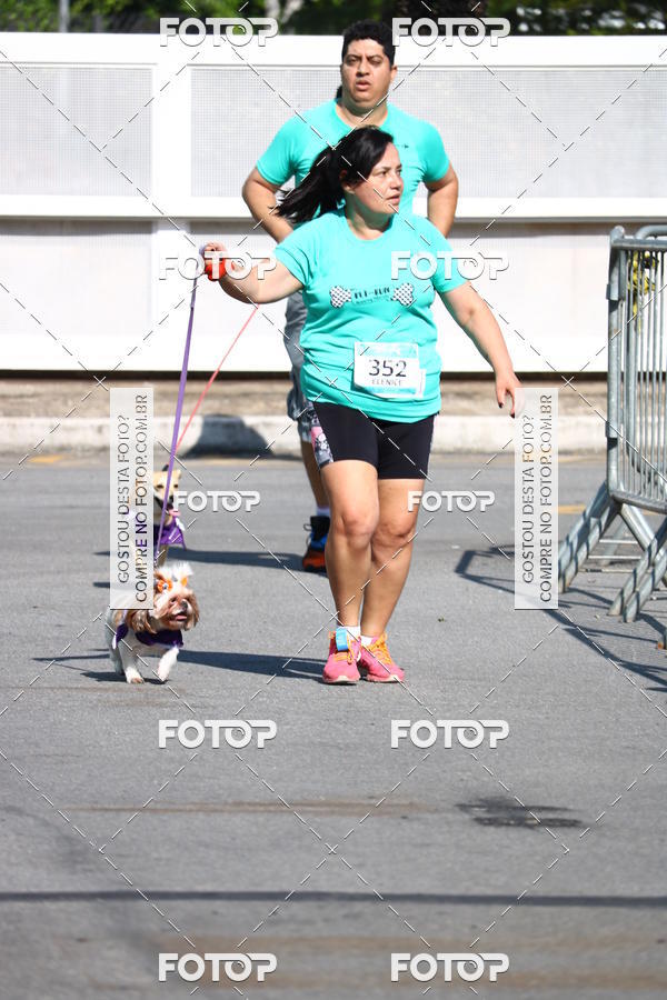 Buy your photos of the event2� Pet Run Shopping Eldorado  on Fotop
