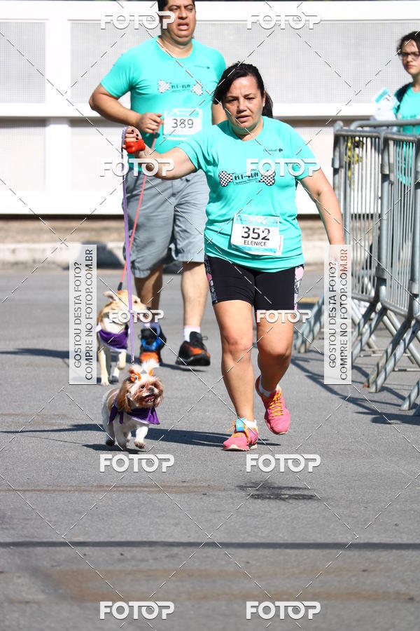 Buy your photos of the event2� Pet Run Shopping Eldorado  on Fotop