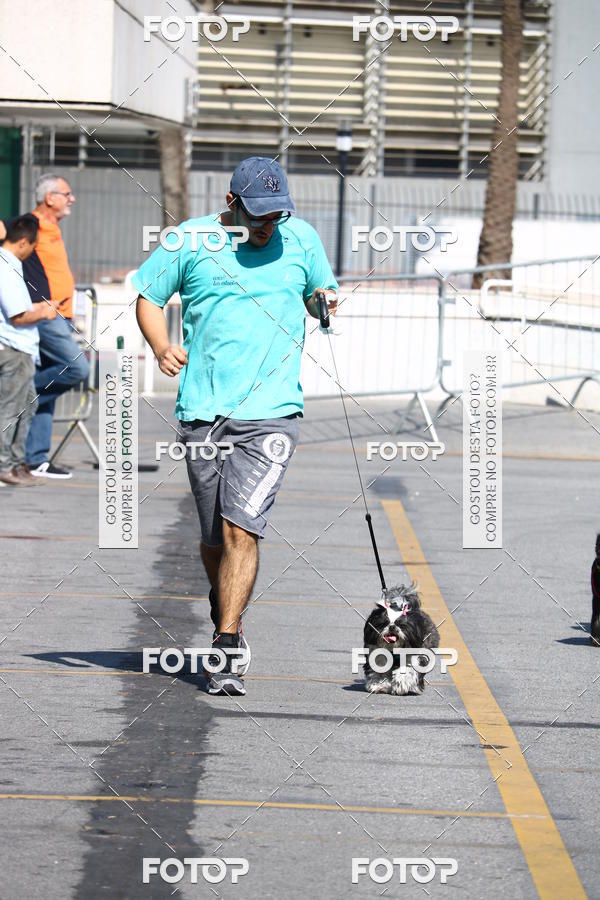 Buy your photos of the event2� Pet Run Shopping Eldorado  on Fotop