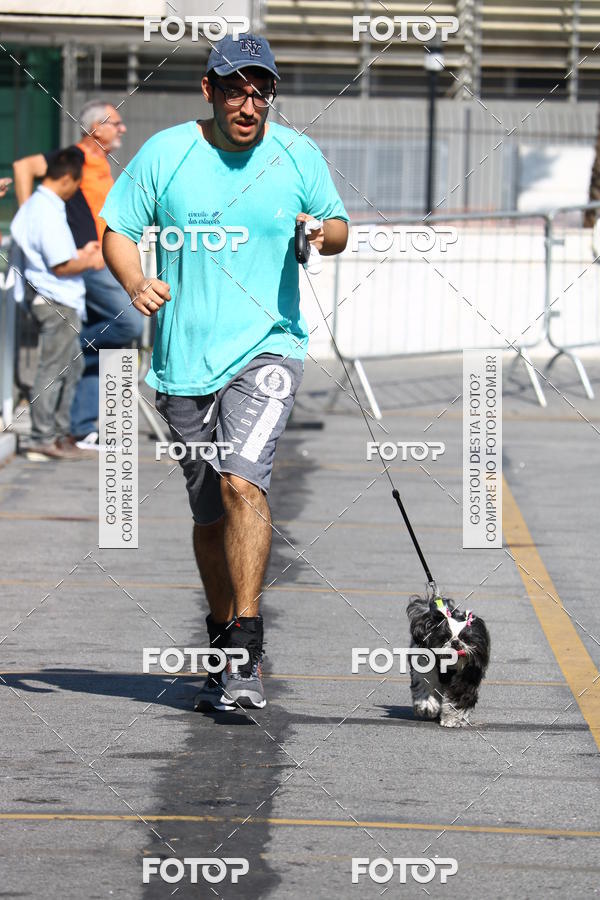Buy your photos of the event2� Pet Run Shopping Eldorado  on Fotop