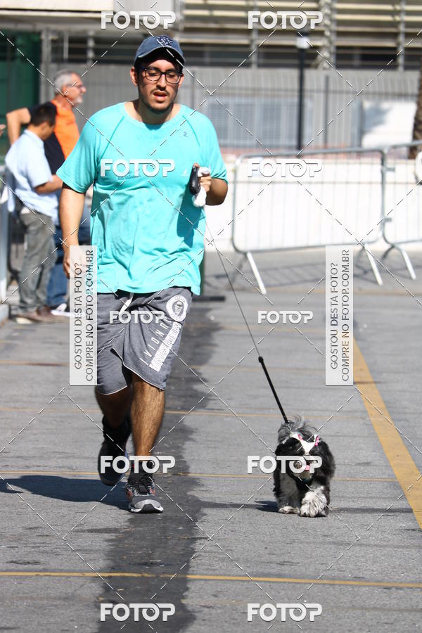 Buy your photos of the event2� Pet Run Shopping Eldorado  on Fotop