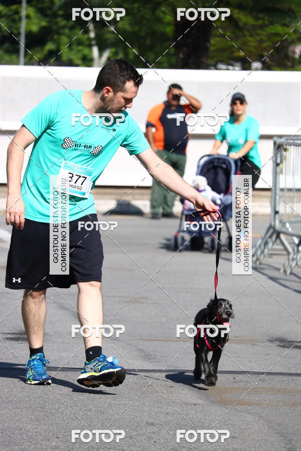 Buy your photos of the event2� Pet Run Shopping Eldorado  on Fotop