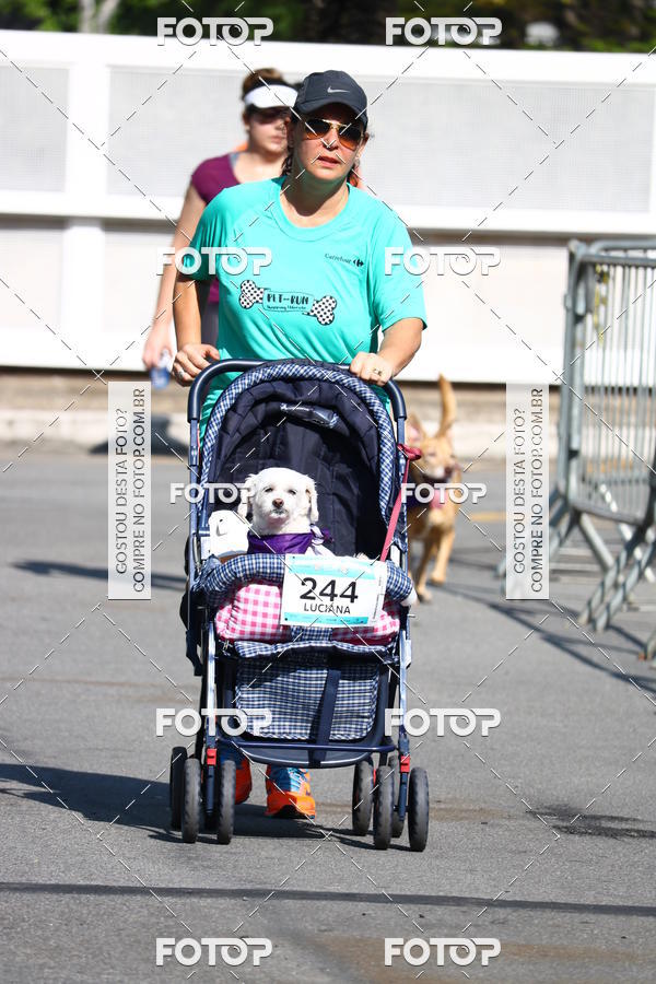 Buy your photos of the event2� Pet Run Shopping Eldorado  on Fotop