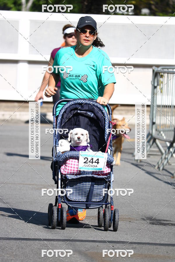 Buy your photos of the event2� Pet Run Shopping Eldorado  on Fotop
