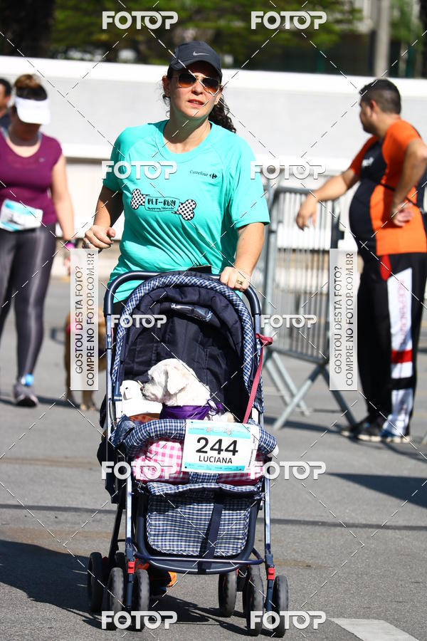 Buy your photos of the event2� Pet Run Shopping Eldorado  on Fotop