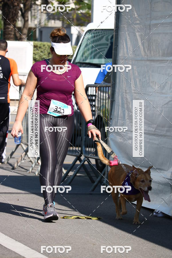 Buy your photos of the event2� Pet Run Shopping Eldorado  on Fotop