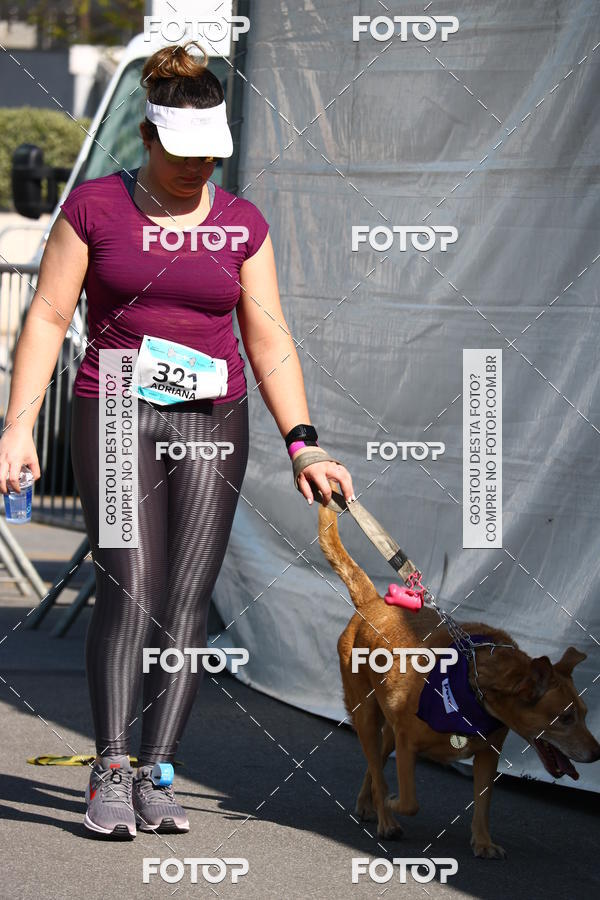 Buy your photos of the event2� Pet Run Shopping Eldorado  on Fotop