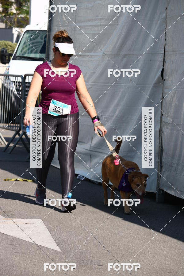 Buy your photos of the event2� Pet Run Shopping Eldorado  on Fotop