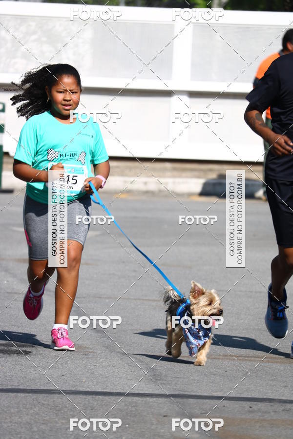 Buy your photos of the event2� Pet Run Shopping Eldorado  on Fotop