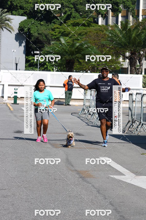 Buy your photos of the event2� Pet Run Shopping Eldorado  on Fotop