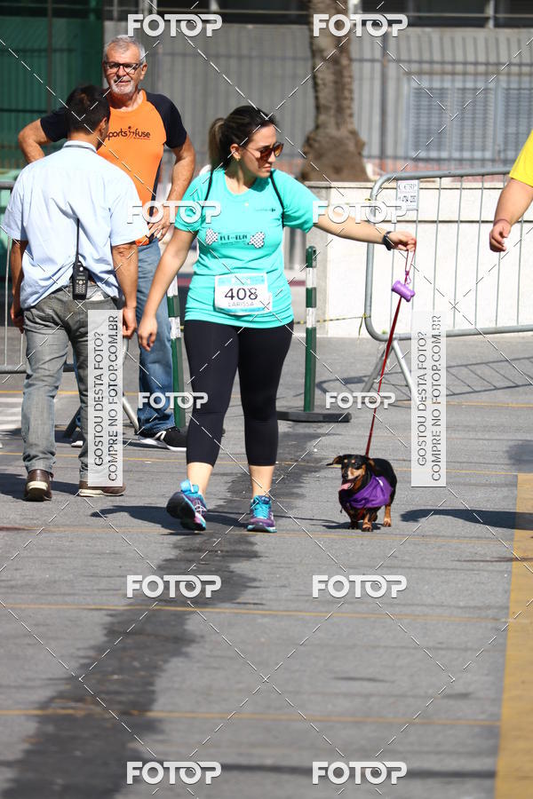 Buy your photos of the event2� Pet Run Shopping Eldorado  on Fotop