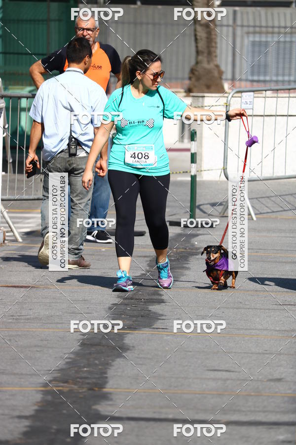 Buy your photos of the event2� Pet Run Shopping Eldorado  on Fotop