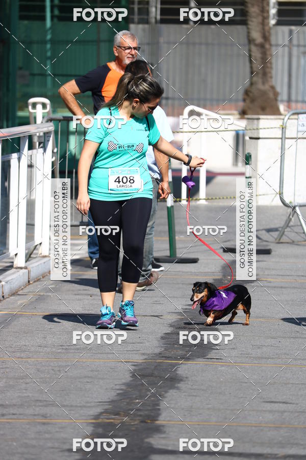 Buy your photos of the event2� Pet Run Shopping Eldorado  on Fotop