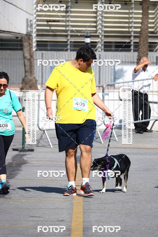 Buy your photos of the event2� Pet Run Shopping Eldorado  on Fotop