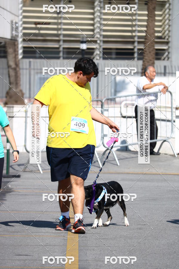 Buy your photos of the event2� Pet Run Shopping Eldorado  on Fotop