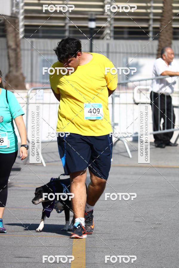 Buy your photos of the event2� Pet Run Shopping Eldorado  on Fotop