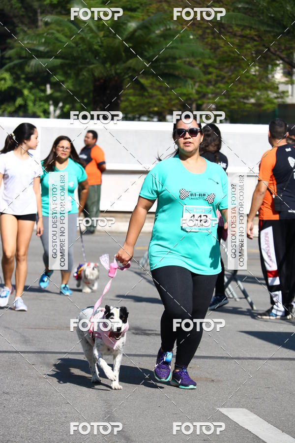 Buy your photos of the event2� Pet Run Shopping Eldorado  on Fotop