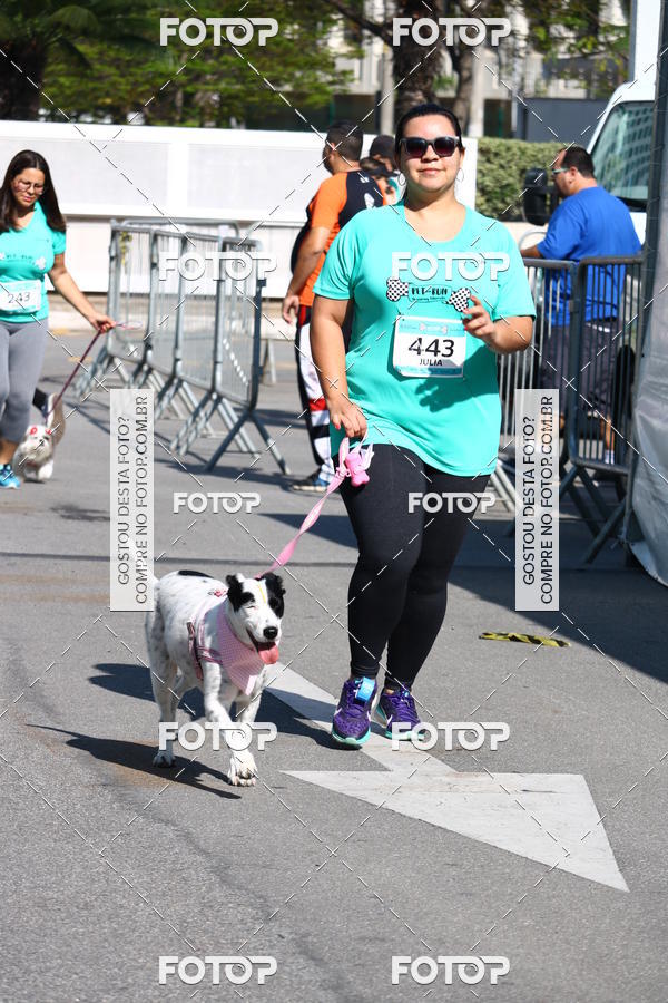 Buy your photos of the event2� Pet Run Shopping Eldorado  on Fotop