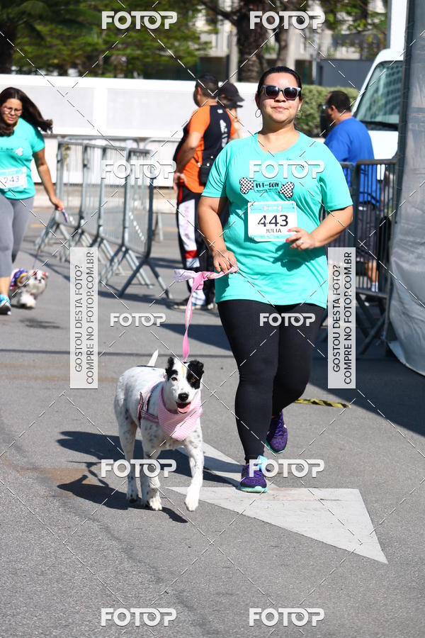 Buy your photos of the event2� Pet Run Shopping Eldorado  on Fotop